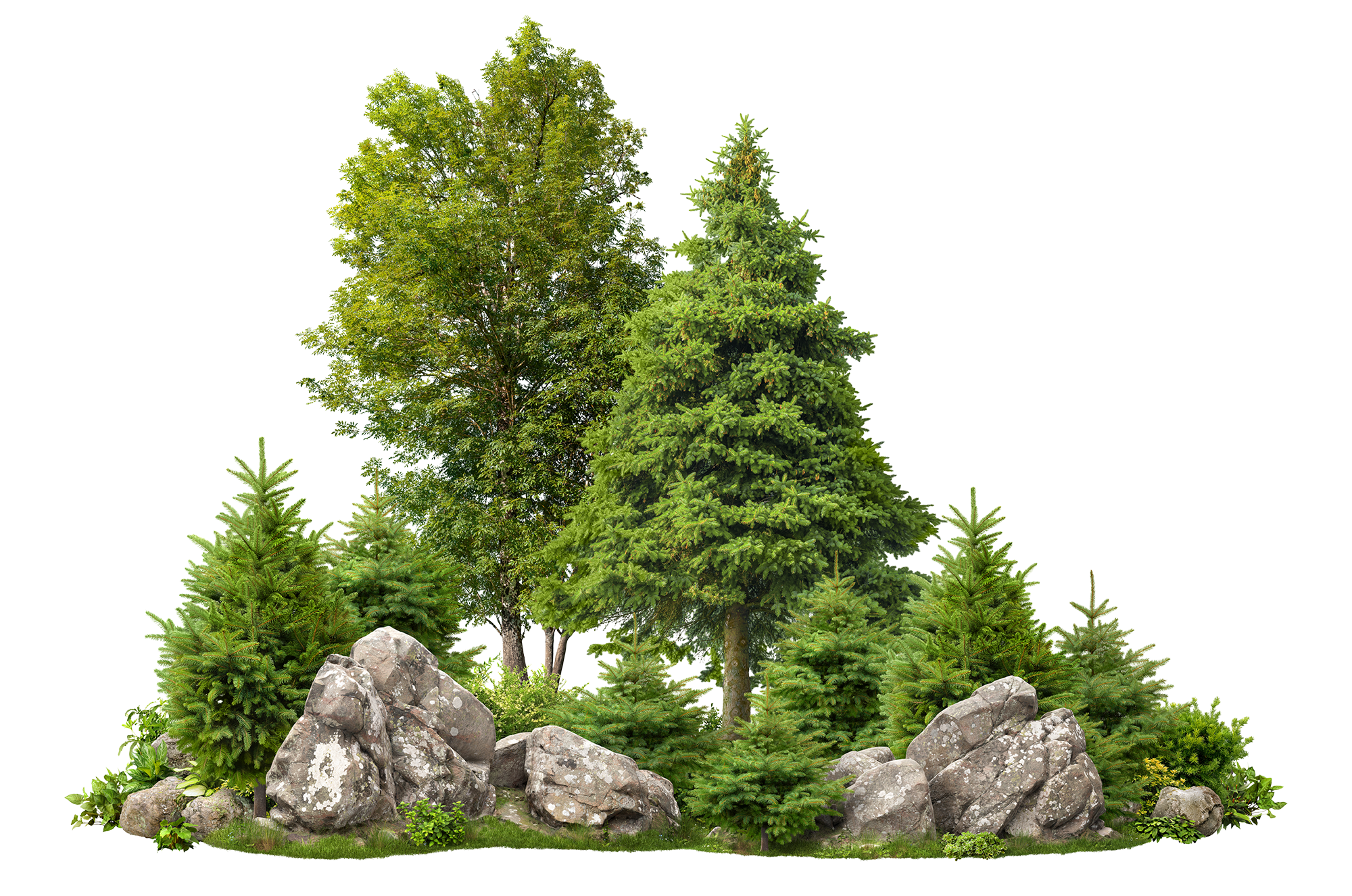 premier green initiative