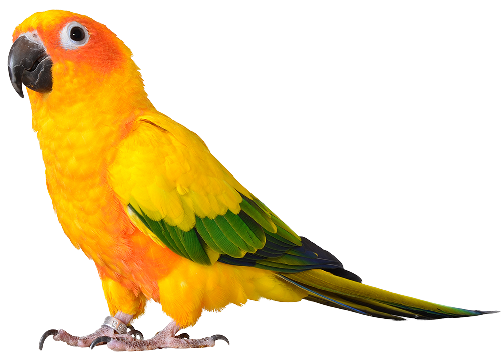 shutterstock 155146361